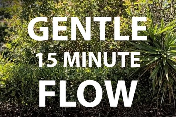 Gentle 15 minute flow branding