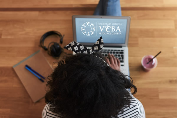 girl looks at veba resource center on laptop